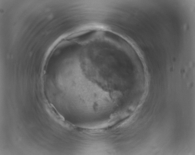 X0000052570864200507011219