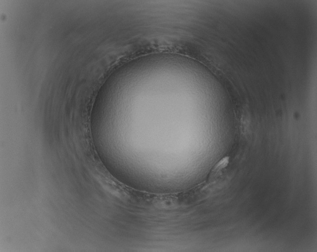 X0000052570865200507011218