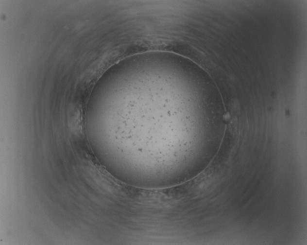 X0000052570866200507011218