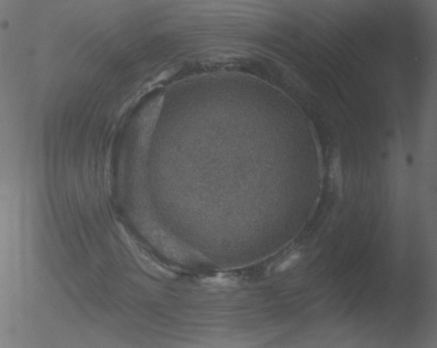 X0000052570868200507011218