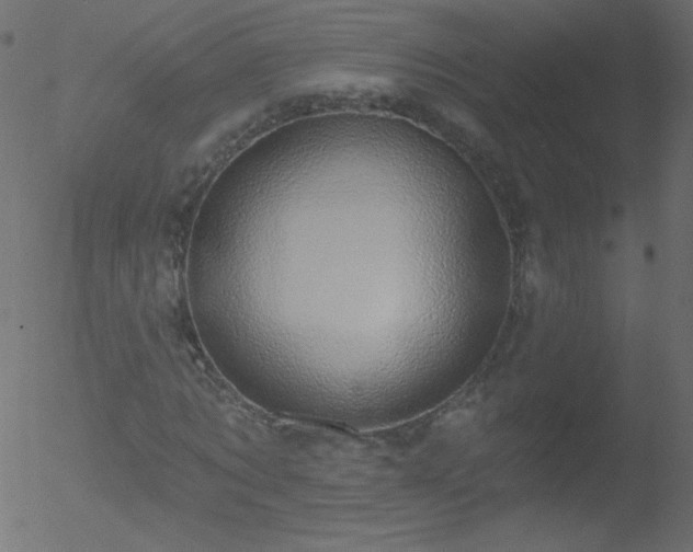 X0000052570869200507011218