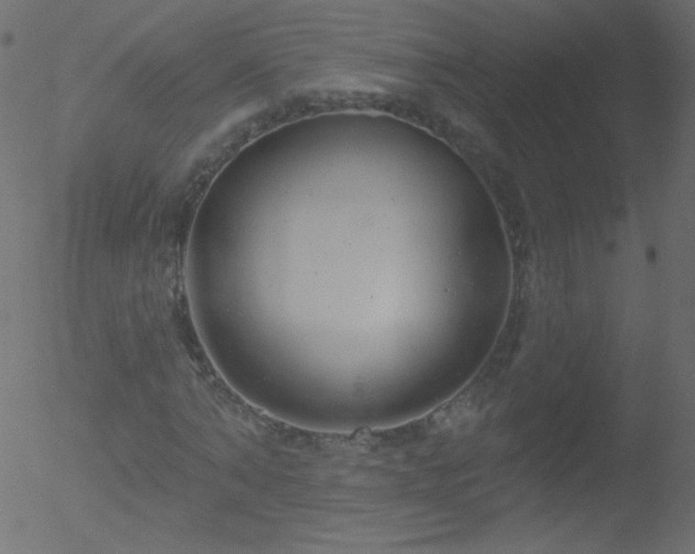 X0000052570870200507011218