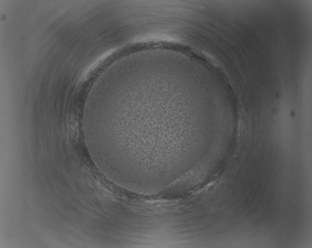 X0000052570872200507011218