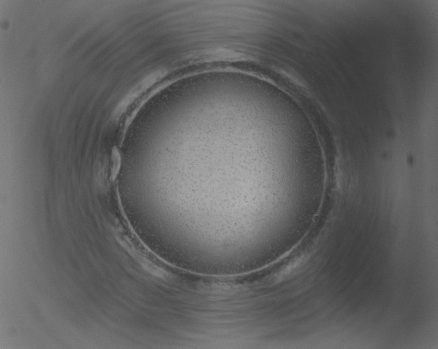 X0000052570873200507011218