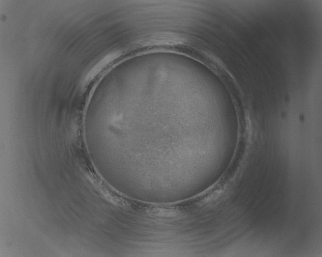 X0000052570874200507011218