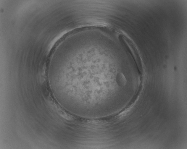 X0000052570875200507011218