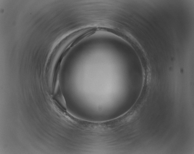 X0000052570876200507011218