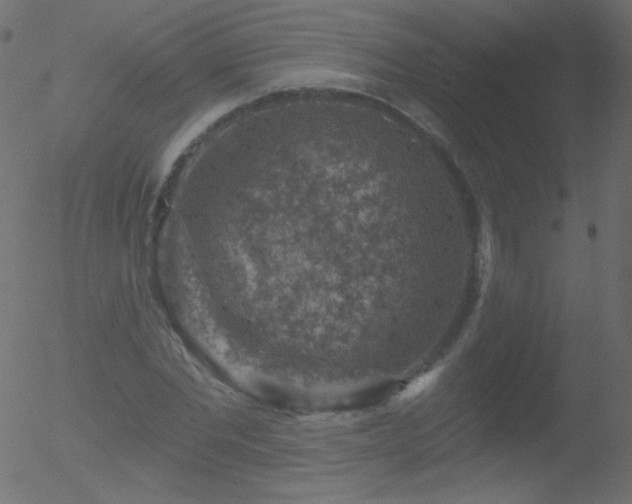 X0000052570877200507011218