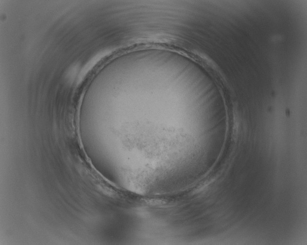 X0000052570878200507011218