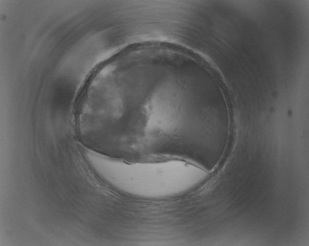 X0000052570879200507011218