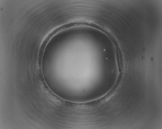 X0000052570880200507011218