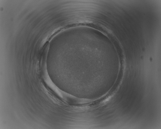 X0000052570881200507011218