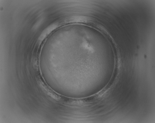 X0000052570882200507011218