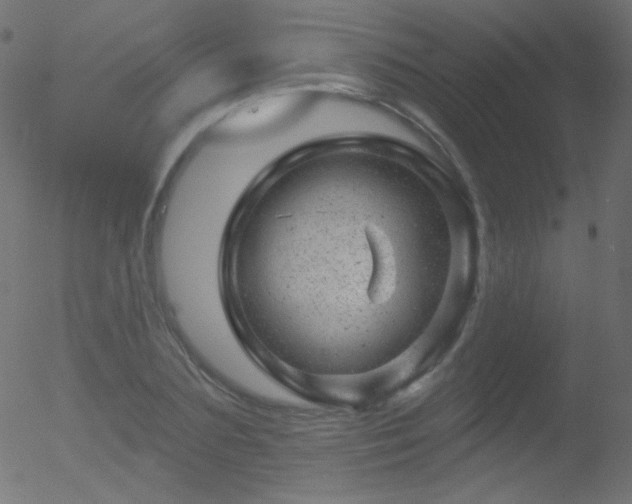 X0000052570883200507011218