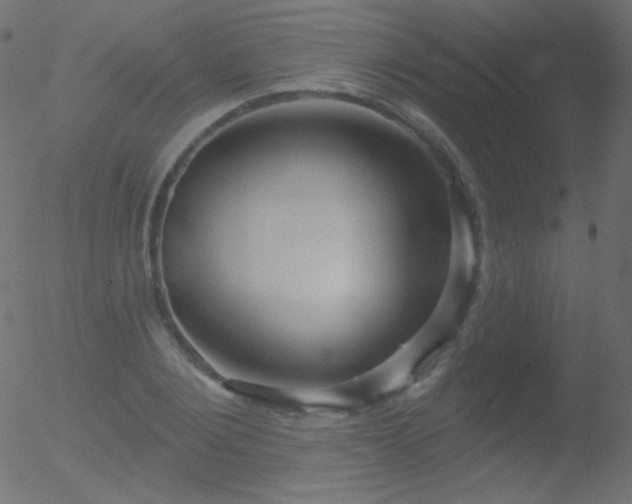 X0000052570884200507011218