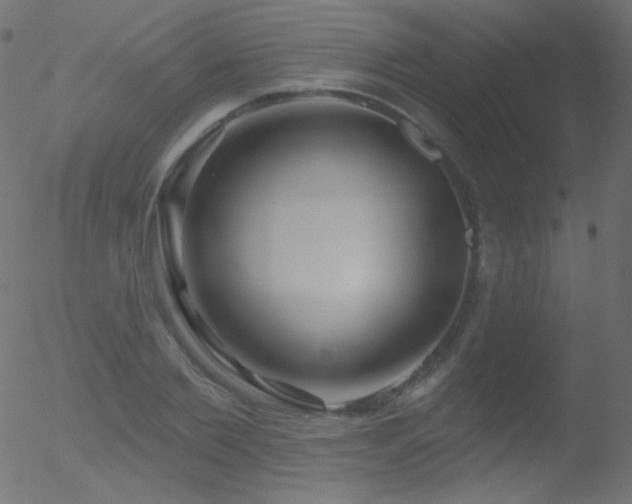 X0000052570885200507011218