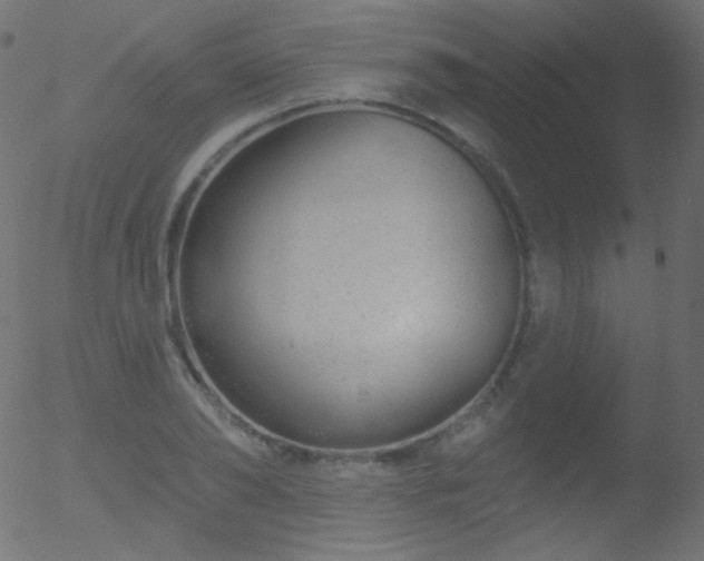 X0000052570886200507011218