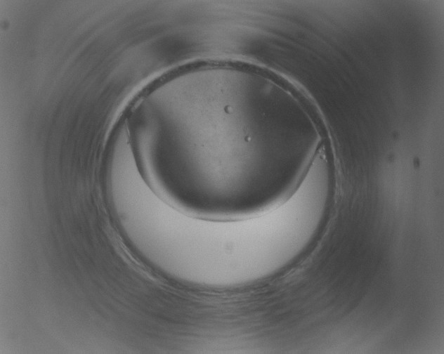 X0000052570887200507011218