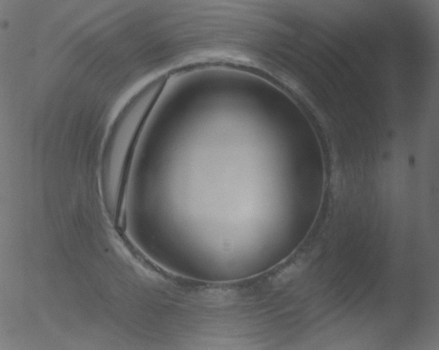 X0000052570888200507011218