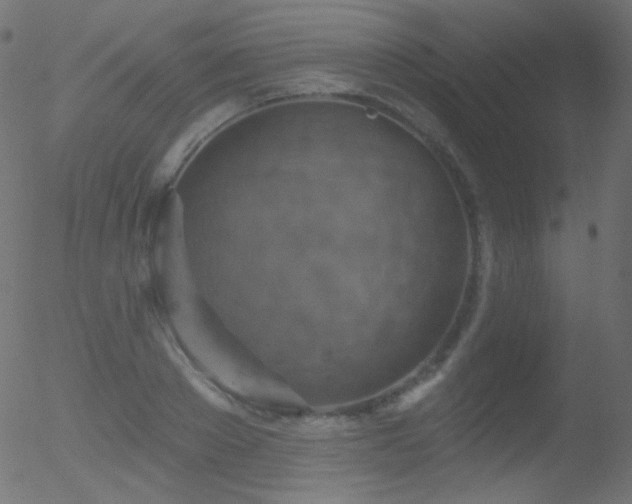 X0000052570889200507011218