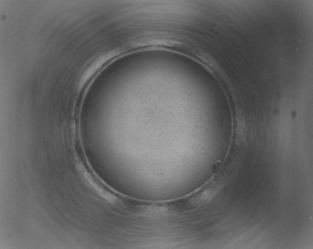 X0000052570890200507011218