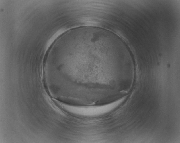 X0000052570891200507011218