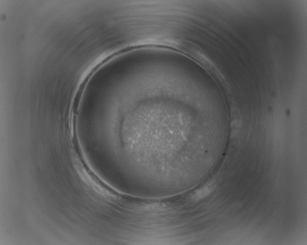 X0000052570892200507011218