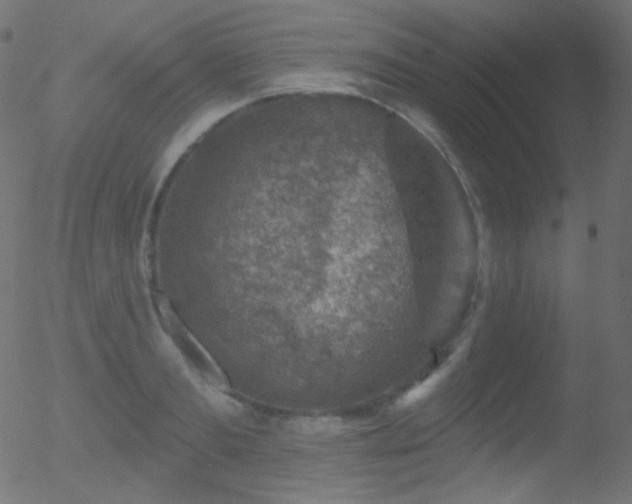 X0000052570893200507011218