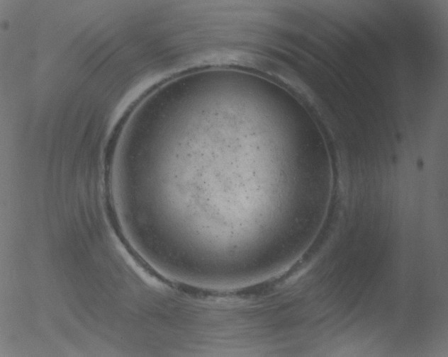 X0000052570894200507011218