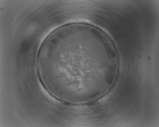 X0000052570895200507011218