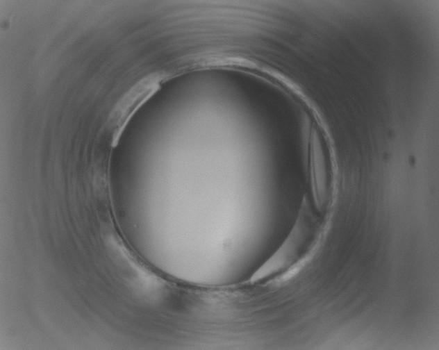 X0000052570897200507011218