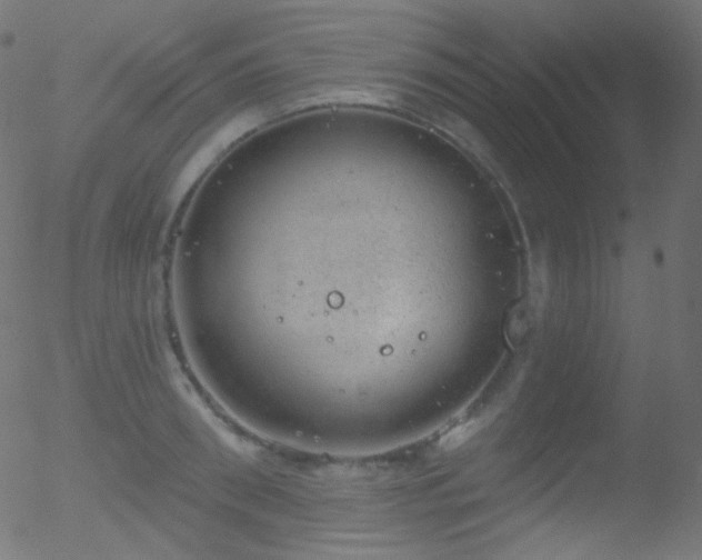 X0000052570898200507011218