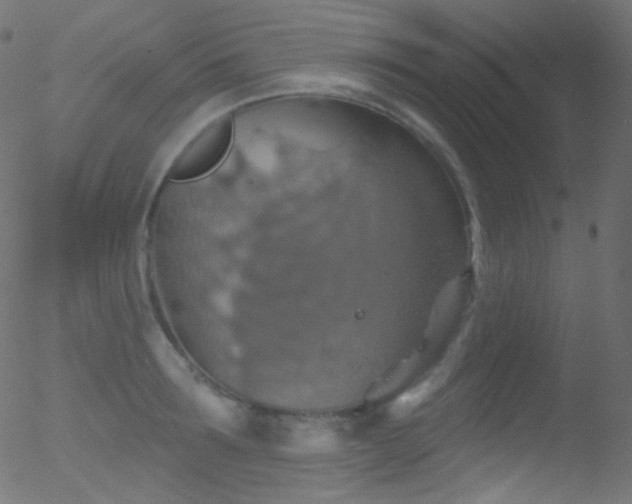 X0000052570899200507011218