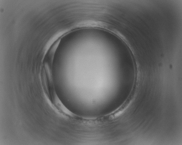 X0000052570901200507011218