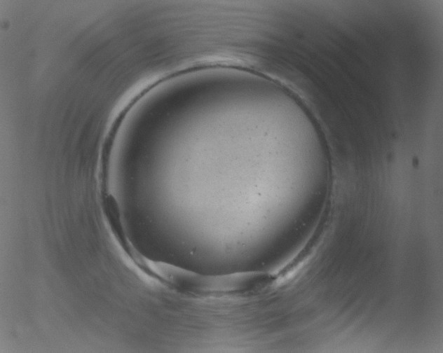 X0000052570902200507011218