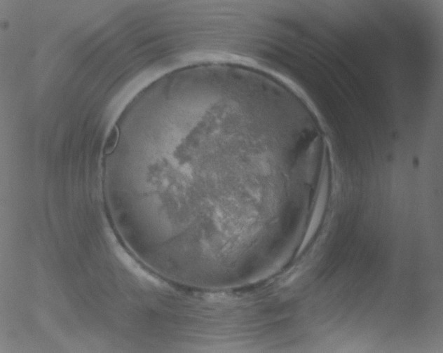 X0000052570903200507011218