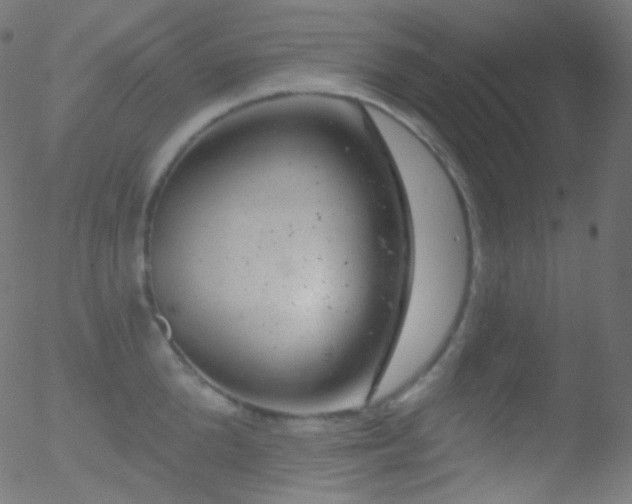 X0000052570904200507011218