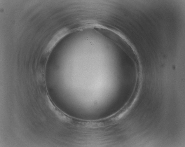 X0000052570905200507011217