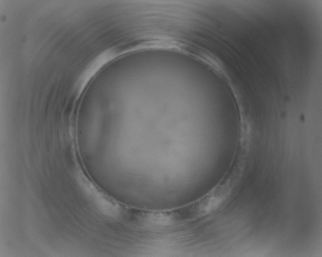 X0000052570907200507011217