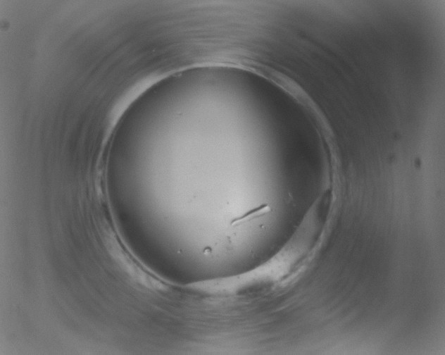 X0000052570908200507011217