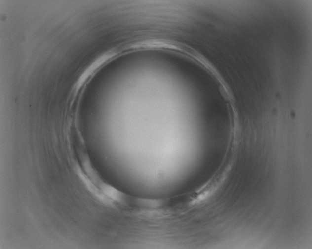 X0000052570909200507011217