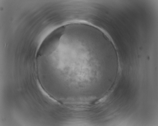 X0000052570911200507011217