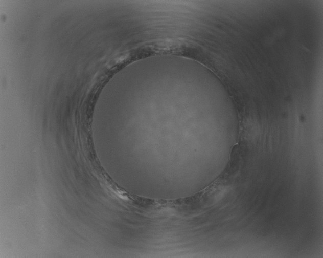 X0000052570913200507011217