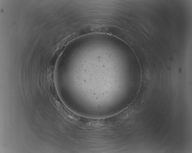 X0000052570914200507011217