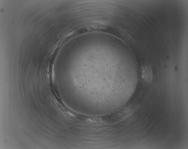 X0000052570915200507011217