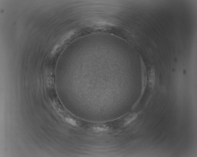 X0000052570916200507011217