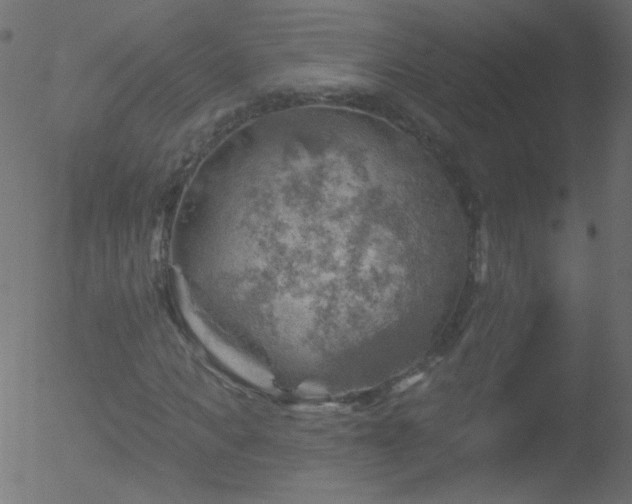 X0000052570917200507011217