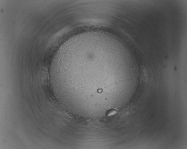 X0000052570918200507011217