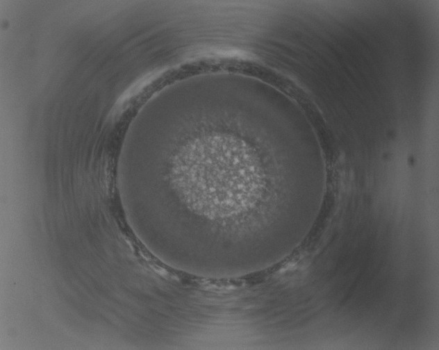 X0000052570919200507011217