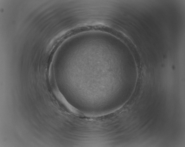 X0000052570920200507011217